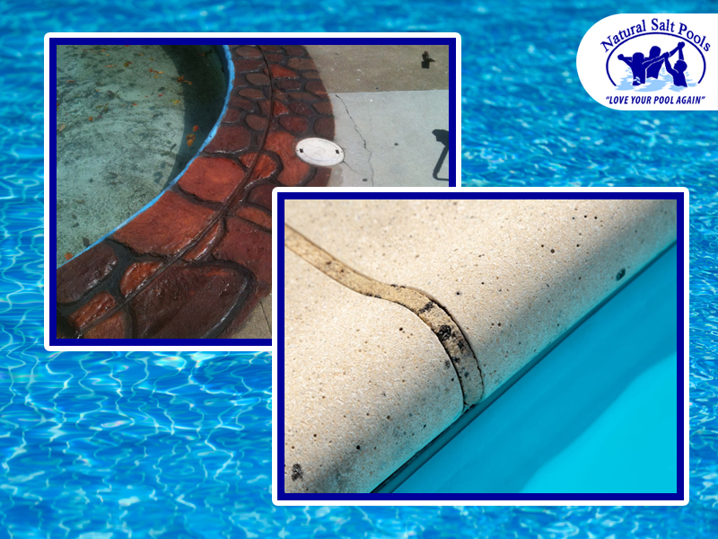 pool-copings-full-of-nasty-stains