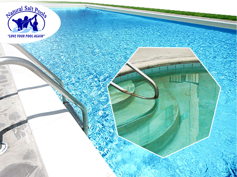pool-with-green-stains-of-water-algae