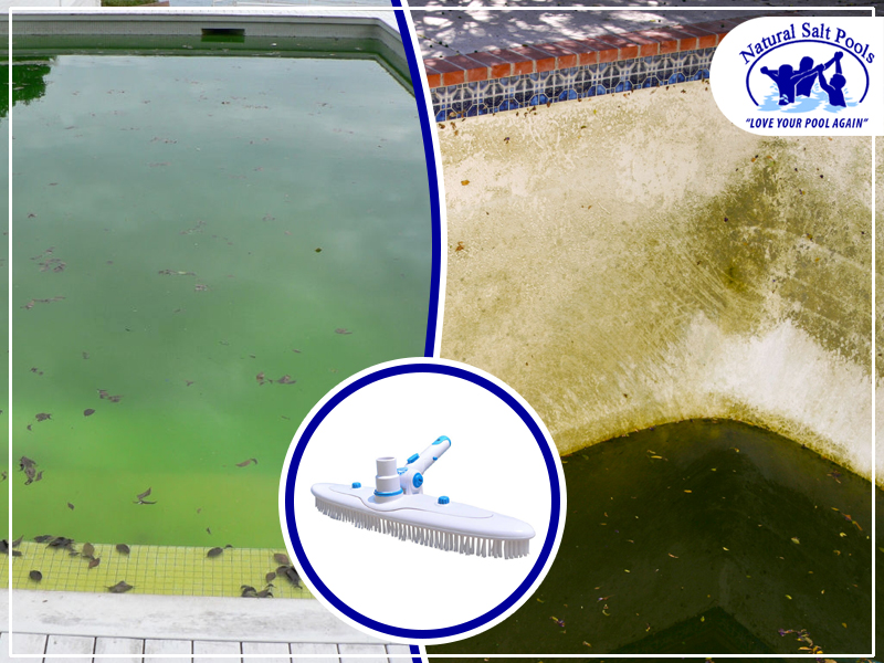 pool-with-nasty-stains-and-dead-leafs-to-be-cleaned-up