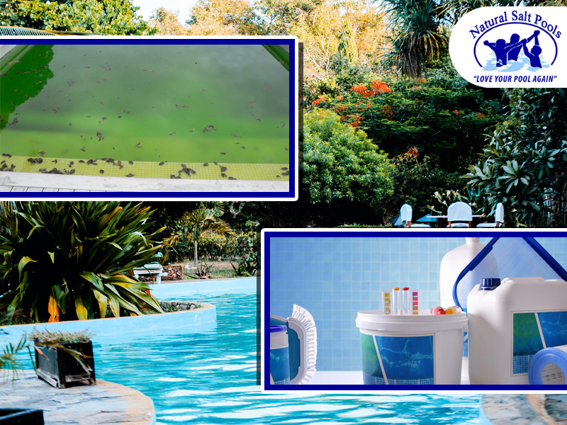 pool-with-nasty-stains-and-dead-leafs-to-be-cleaned-up-with-brushes-and-chemicals