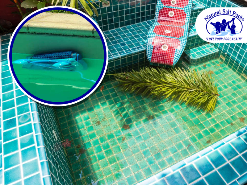 pool-with-green-stains-dead-leafs-and-broken-tree-branches