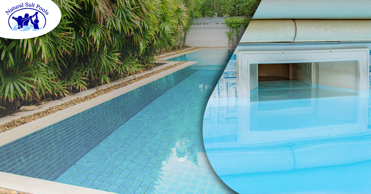 wide-mouth-pool-skimmer-and-beautiful-pool-with-palm-trees