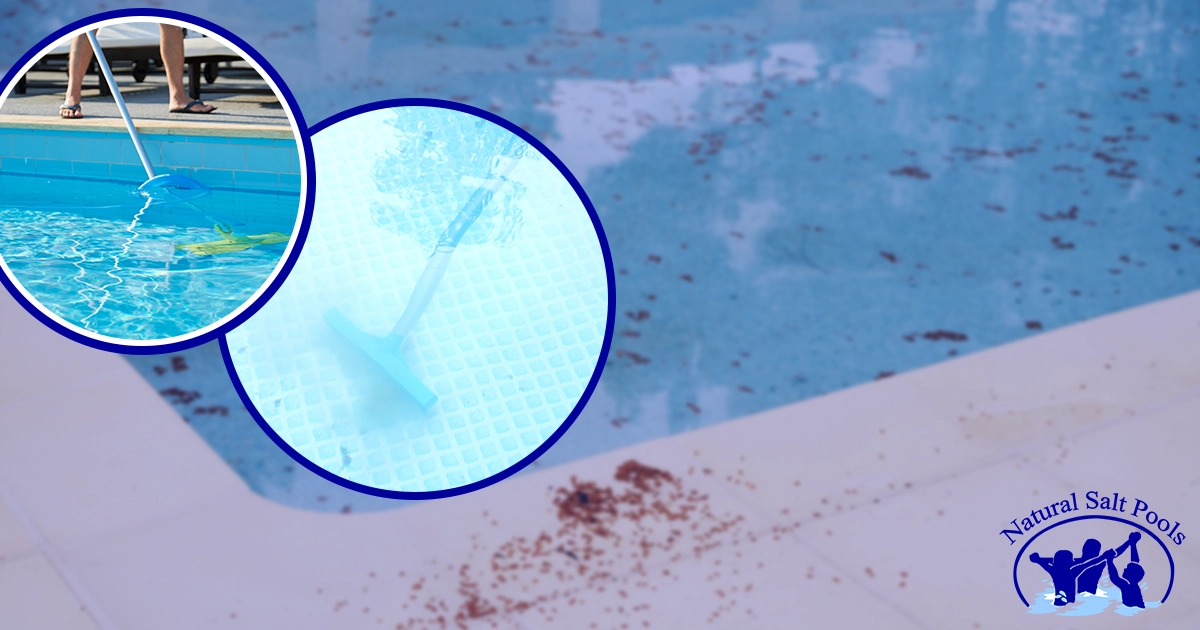 pool-cleaning-using-long-handle-stainless-steel-brush